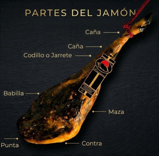 Partes del jamón